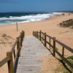 Turismo inyecta registro de 535 millones de dólares para la economía uruguaya en enero